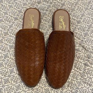 Seychelles Mule Shoes